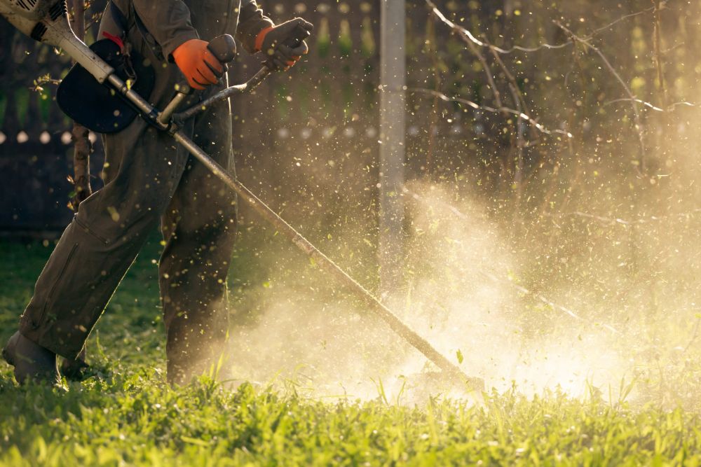 The Ultimate Guide to Lawn Care: Achieving a Lush and Healthy Yard